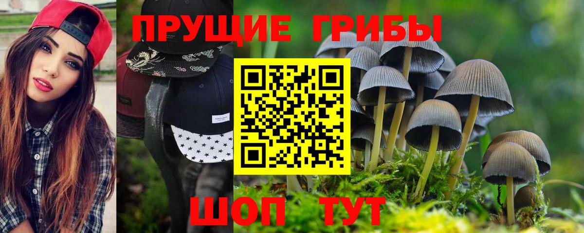 Псилоцибиновые грибы Psilocybine cubensis Чапаевск